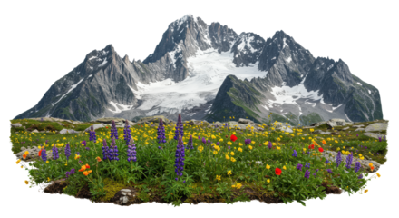 Majestic granite mountain range with textural glacial snow and ice above vibrant spring alpine wildflowers (lupines, poppies) on moss, against a transparent background, concept of isolated wildness