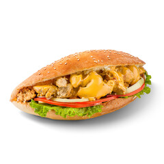 Fast food, burger, kebab, french fry, onion ring, isolated on white