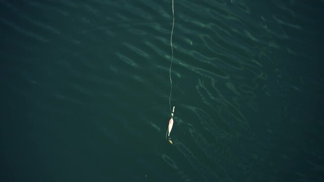 A fishing line and float gently drifting on dark water, minimal and serene