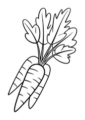 Hand drawn black and white carrot with leafy greens isolated on transparent background