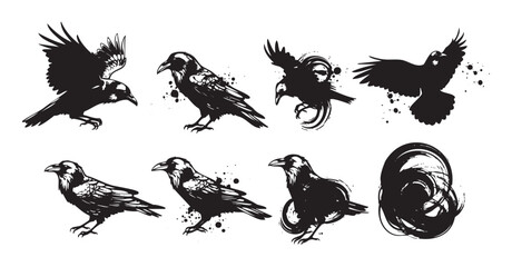 Obraz premium Black ravens and crows depicted in various dynamic poses, featuring a grunge and artistic ink splash style, creating a mysterious and powerful visual collection.