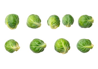 Ten fresh green Brussels sprouts arranged in two rows on a white background isolated on a transparent background