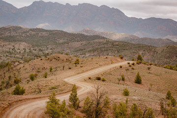 Mountain landscape with with sandy empty road and bare hills surrounded by desert greenery outdoor aon a foggy day in the Australian outback in Flinders Ranges in Australia with space for text.