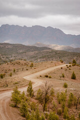Vertical image of a mountain landscape with sandy empty road and bare hills surrounded by desert greenery outdoor on a foggy day in the Australian outback in Flinders Ranges in Australia.