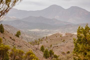 Mountain landscape with with sandy bare hills surrounded by desert greenery outdoor aon a foggy day in the Australian outback in Flinders Ranges in Australia with space for text.