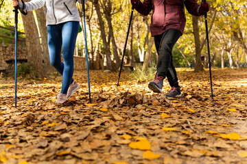 Female friends nordic walking in autumn forest