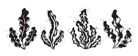Seaweed plants are depicted in a stylized black ink illustration set, showcasing various organic forms with a textured, artistic grunge aesthetic.