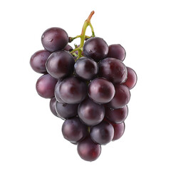 Fototapeta premium A bunch of ripe red grapes with water droplets on a dark background isolated on a transparent background