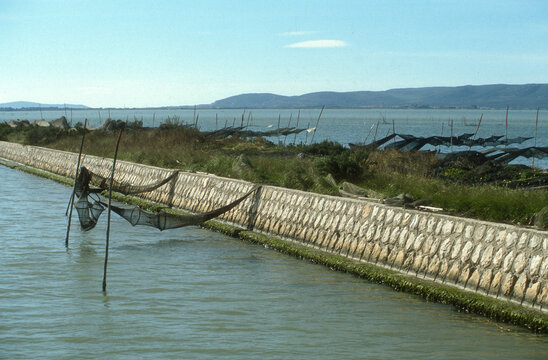 Filets de p&ecirc;che, Etang de Vic, canal du Petit Rhone, lagune, espace naturel prot&eacute;g&eacute;, 34, H&eacute;rault, France