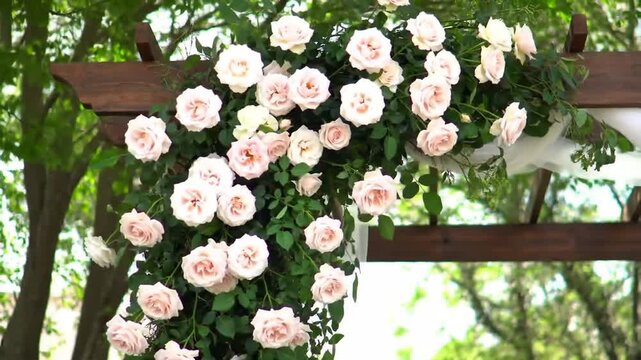Arrangement of soft pink roses and greenery decorates a wooden arbor for an event