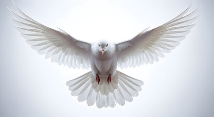Obraz premium Majestic white dove flying directly toward the viewer with wings fully spread against a bright ethereal background