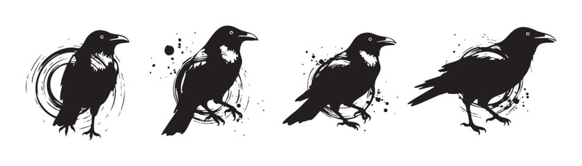 Obraz premium Four stylized raven bird illustrations showcase a grunge ink splatter and brush stroke aesthetic, perfect for modern graphic design projects.