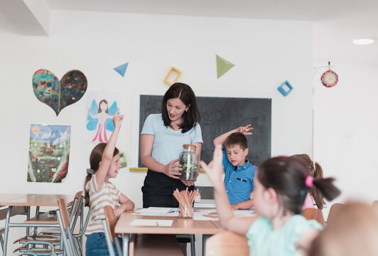 Female Teacher with kids in biology class at elementary school conducting biology or botanical scientific experiment about sustainable Growing plants. Learning about plants in a glass jar - Powered by Adobe
