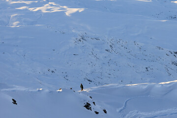 Solo Skier Standing on Snowy Ridge at Sunrise, Ready for Freeride, Les Menuires. French Alps.