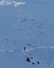 Lone Freerider on Mountain Crest Preparing for Off-Piste Descent. Les Menuires. French Alps.