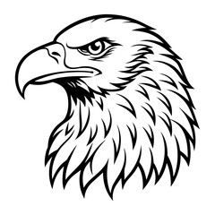 Obraz premium Bald Eagle Head