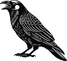 Detailed Raven Silhouette Black Bird Vector