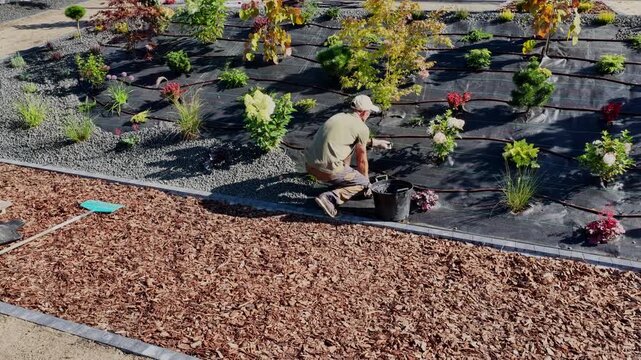 Gardening Tips for Planting Flowers in a Home Yard