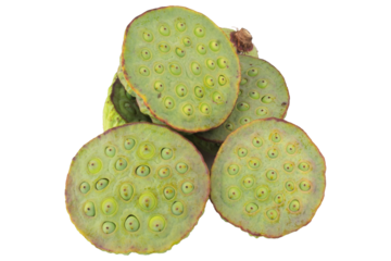 lotus seeds isolated on white background