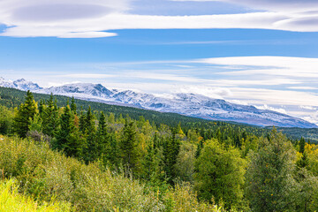 Obraz premium Dense boreal forest stretching toward rolling mountain ranges beneath a wide northern sky in Interior Alaska. A tranquil wilderness scene far from civilization.