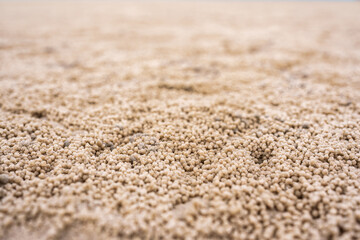 Natural pattern of Sand bubbler crab made spherical sand balls covered the beach on seashore