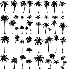 Monochrome Vector Illustration of Diverse Palm Tree Silhouettes Depicted in Minimalist Style Featuring Varied Trunk Shapes and Leaf Arrangements to Represent Tropical Flora, Botanical Diversity, 