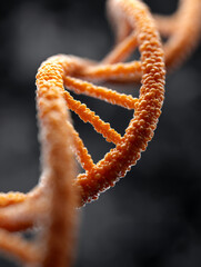 Close-up of an orange DNA double helix structure.