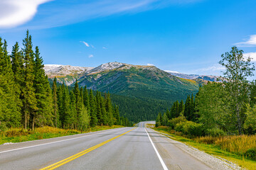 Fototapeta premium Empty highway winding through evergreen forest toward distant mountains in Alaska. A classic road trip scene on the drive between Fairbanks and Valdez showcasing the vast northern wilderness.