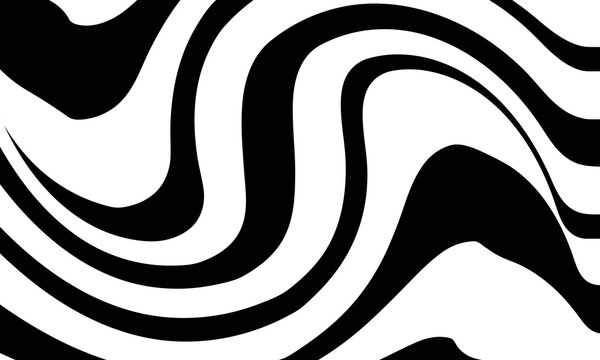 Zebr pattern for background isolated vector illustration