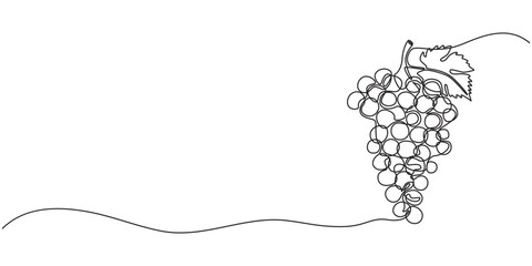 Continuous one line drawing of a bunch of grapes, representing elegance and natural sweetness, line art style vector illustration, Bunch of grapes. Minimalist line drawing, one continuous line, pro.