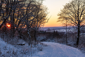 Snowy Forest Path at Colorful Winter Sunset in the Rh&ouml;n