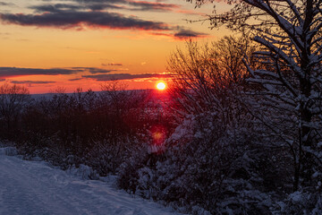 Winter Sunset over Snow-Covered Path in Germany