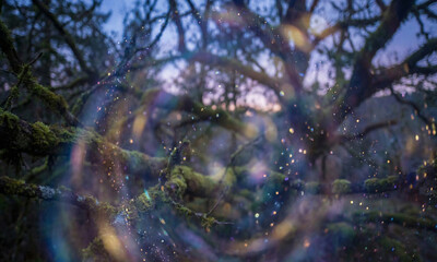 Ethereal Glow Overlay with Dreamy Fantasy Concept