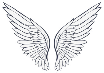 Obraz premium Elegant graphic illustration of a pair of stylized wings with detailed feathers, representing freedom, flight, and aspiration