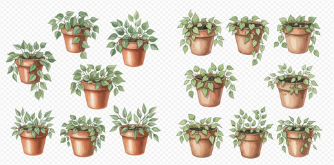 Watercolor illustration set of various potted green plants and foliage, perfect for home decor and garden designs.