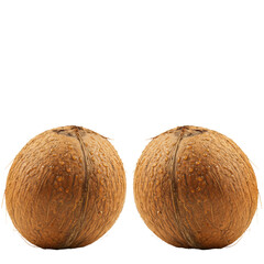 two identical, hyper-detailed mature coconuts standing upright, covered in glistening condensation droplets, against a bright white backdrop with copy space. concept of natural refreshment