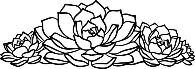 Illustration of three succulent plants with thick outlined petals in a clustered arrangement design