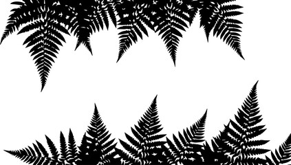 Silhouette ferns frame the top and bottom edges of a white background creating a natural border design © Vectors Studio