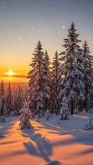 sunset in winter, landscape, snow