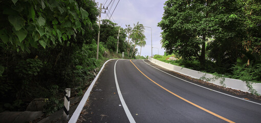 Road with a white line down the middle and trees on either side