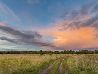 Road runs through a field of tall grass