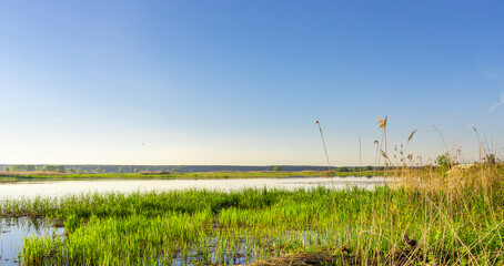 Calm lake with a clear blue sky above