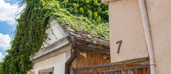 House with a green ivy growing on the roof and a black number 7 on the side