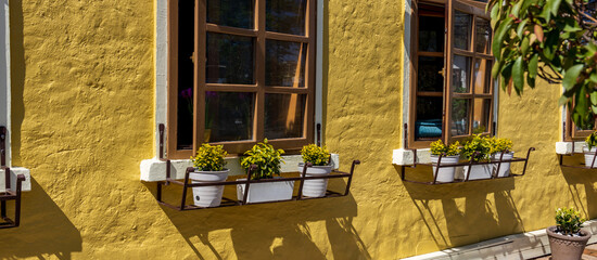 Yellow building with a row of windows and potted plants