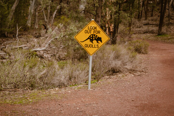 A yellow diamond-shaped sign with an animal symbol warning: look out for quolls along the hiking trail in the wilderness of Wilpena Pound outdoor in the Australian outback in Flinders Ranges.