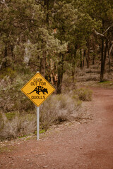 A yellow diamond-shaped sign with an animal symbol warning: look out for quolls along the hiking trail in the wilderness of Wilpena Pound outdoor in the Australian outback in Flinders Ranges.