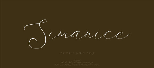 A soft, gentle script font that conveys a sense of calm and serenity, perfect for brands in wellness or lifestyle sectors.