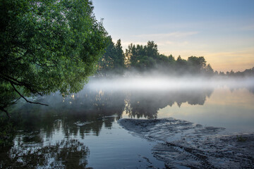 Misty morning by a lake with a tree in the foreground