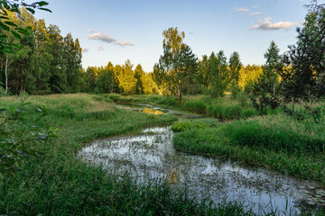 Lush green field with a small stream running through it