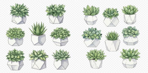 Watercolor illustration set of various green succulent plants in modern white geometric pots, isolated on a transparent background.